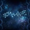 Semaglutide (SM5): The Complete Canadian Weight Loss Guide