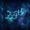 Trenbolone: The Complete Canadian Guide for Intermediate Users
