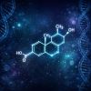 Dianabol (Methandrostenolone): The Complete Canadian Guide