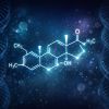 Primobolan (Methenolone): The Complete Canadian Guide