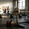 Buy Steroids Edmonton: Complete 2026 Guide & Quality Sources — Buy Steroids Edmonton