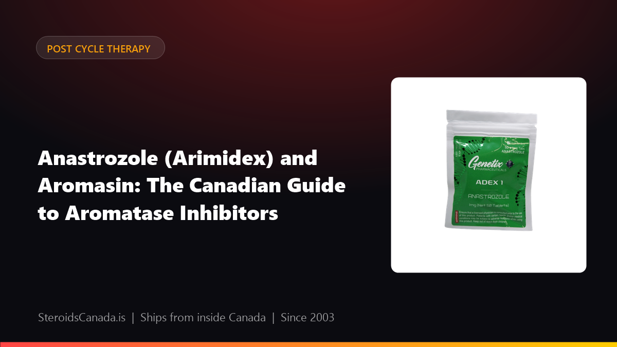 Anastrozole (Arimidex) and Aromasin: The Canadian Guide to Aromatase Inhibitors