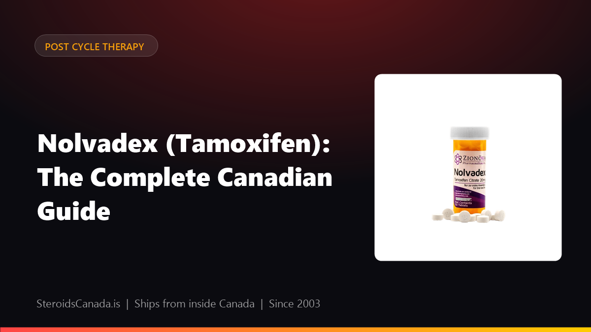 Nolvadex (Tamoxifen): The Complete Canadian Guide