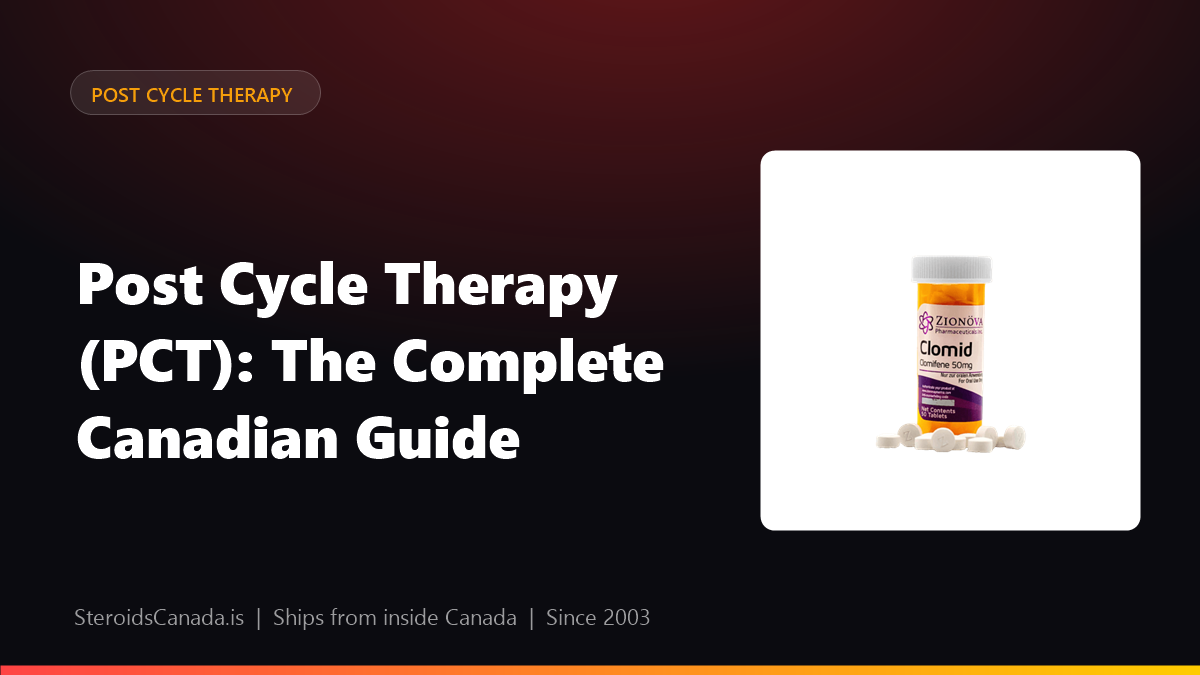 Post Cycle Therapy (PCT): The Complete Canadian Guide