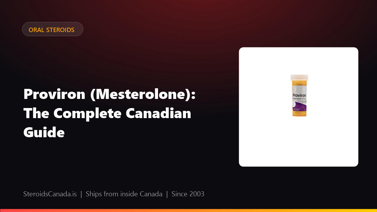 Proviron (Mesterolone): The Complete Canadian Guide
