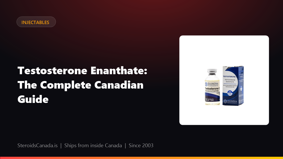 Testosterone Enanthate: The Complete Canadian Guide