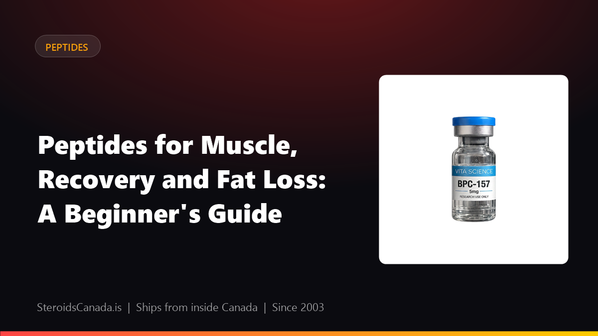 Peptides for Muscle, Recovery and Fat Loss: A Beginner's Guide